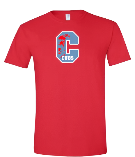 "Chicago" Hat  & T-Shirt Combo