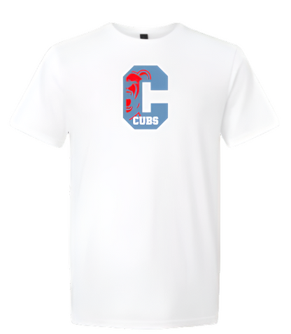 "Chicago" Hat  & T-Shirt Combo